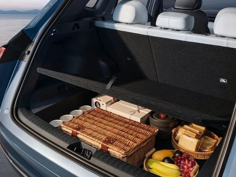 Geely Starray EM-i – photo 7